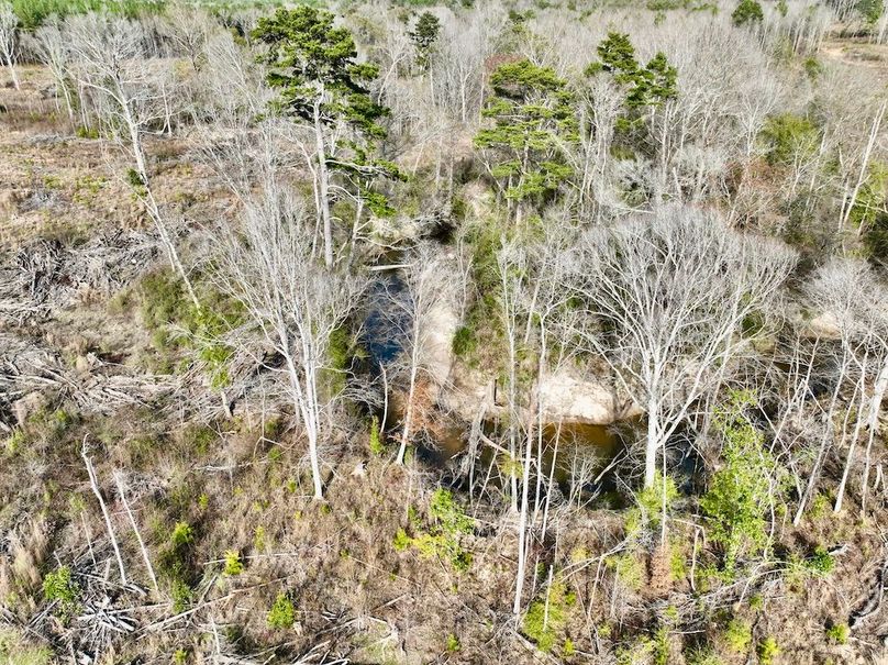 4D0300AF-DD23-441A-9E0E-3CBC391B9C43_1_201_a