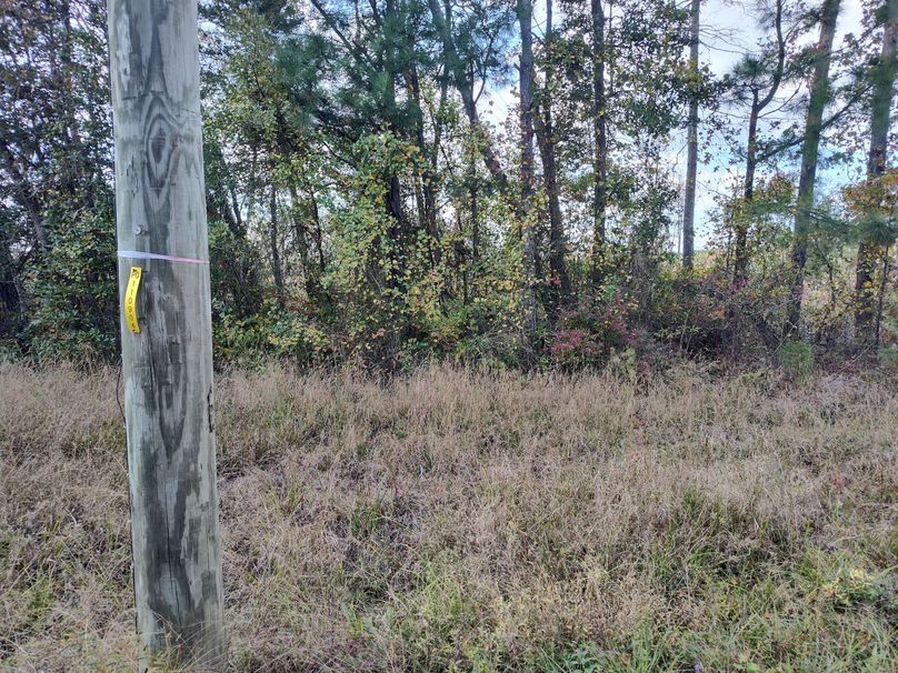 IMG_20231022_133511210_HDR