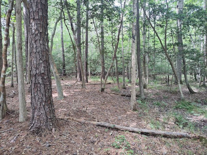 IMG_20250830_133549985