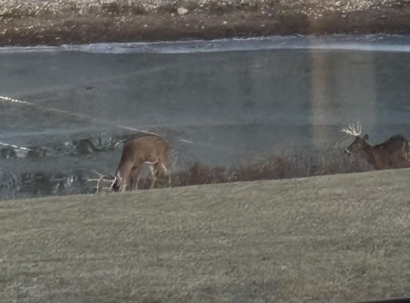 487e60f1-b6bd-4ce3-a519-5f260ec20f7a