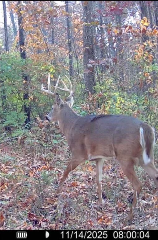 Screenshot 2025-12-21 at 7.25.39 PM