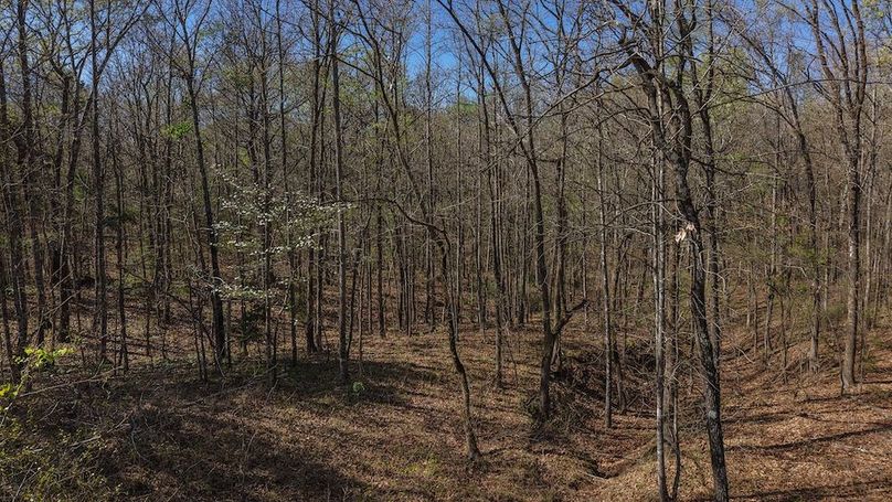 DJI_20260311011952_0041_D