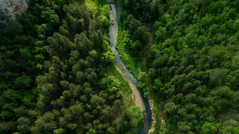 Lawrence SD 50 Featured_ProPhoto-22