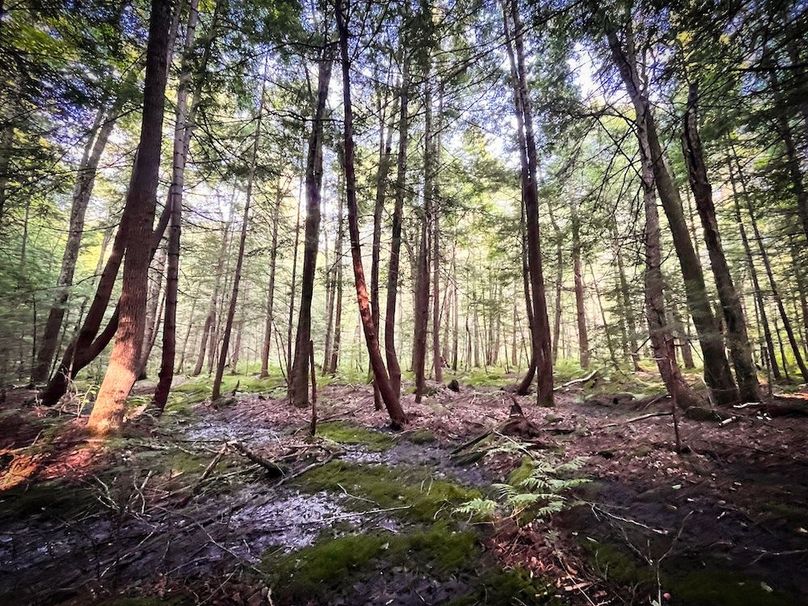 Oswego_25.66_Pettit_Photos_34