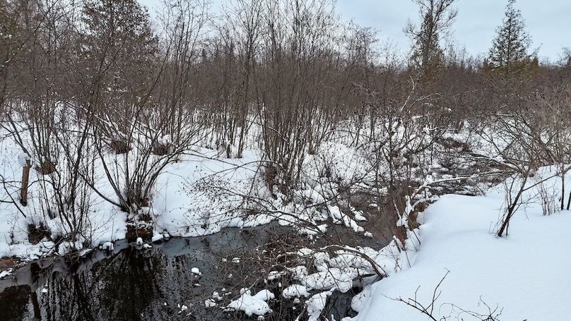 DJI_20260203112753_0186_D