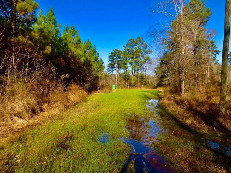 30F6114A-9603-46DB-930D-DF462622BB66_1_105_c