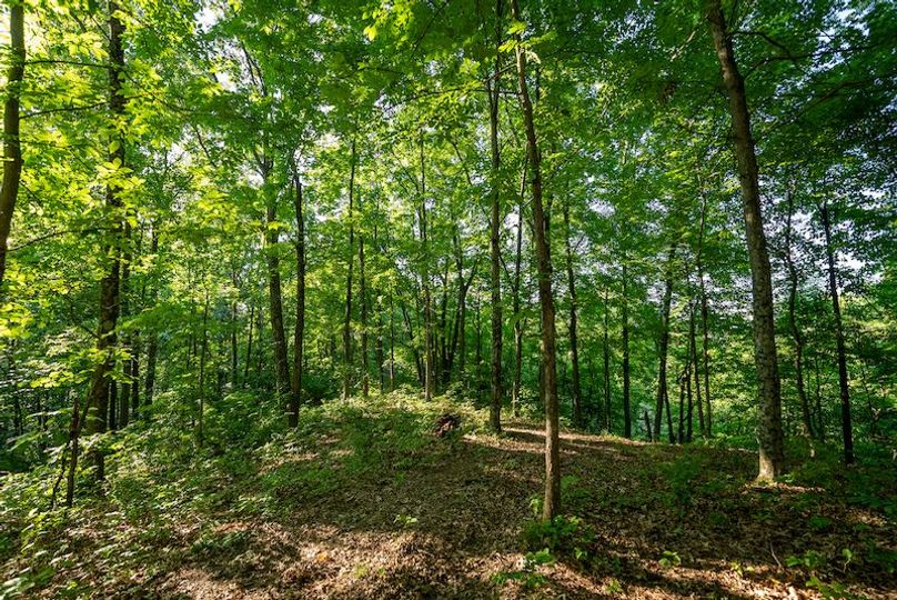 Wetzel WV 171 Featured_Pro Photo-50