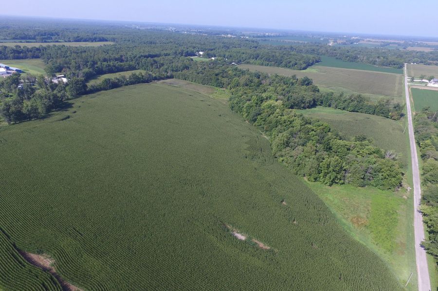 DJI_0031