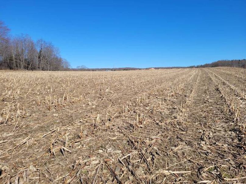 11067406-2MM42pSCBstDXlCQ