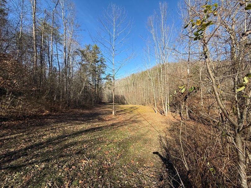 027 another view of the small food plot_field area in the middle of the property