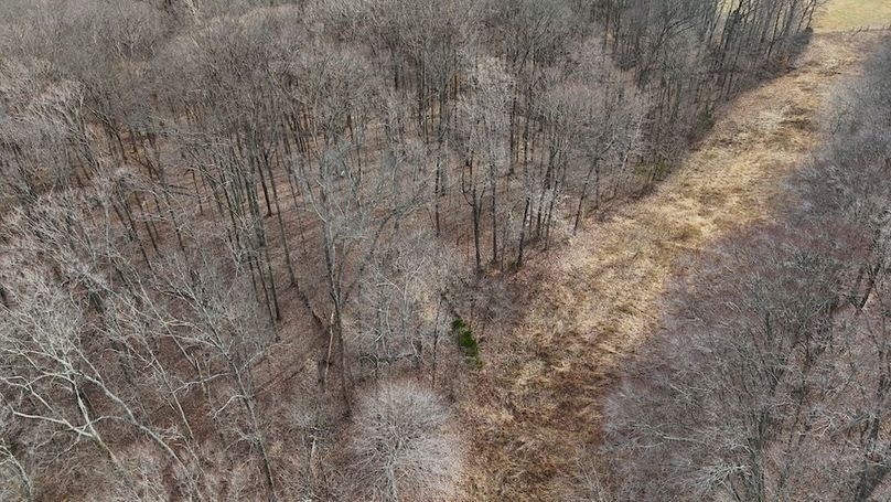 DJI_20250314165806_0257_D