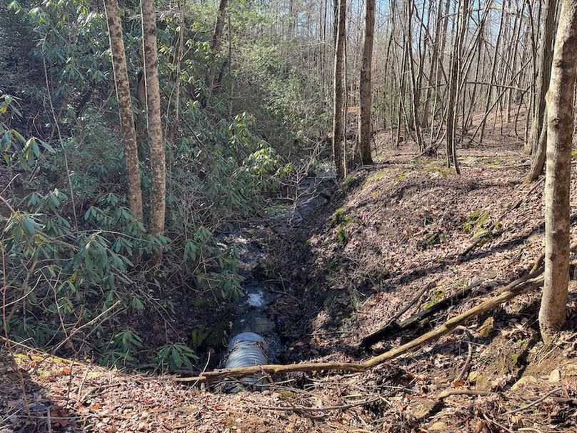 Cherokee 118.85 Harris Top-14