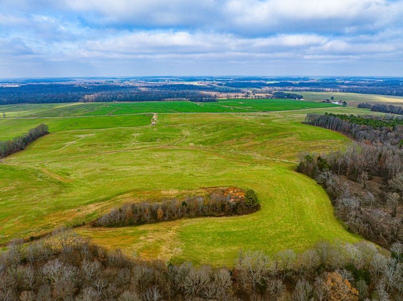 Henry 137 Miller-06-2