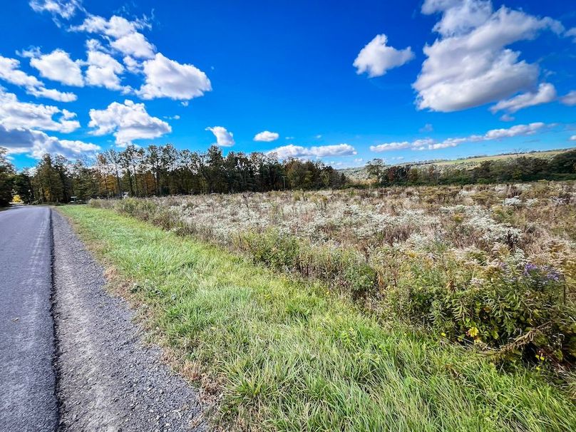 Tompkins_30.32_Hildreth_Estate_Phoros_32