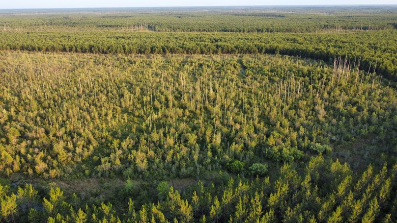 dji_fly_20230616_194728_44_1686959258430_photo_optimized