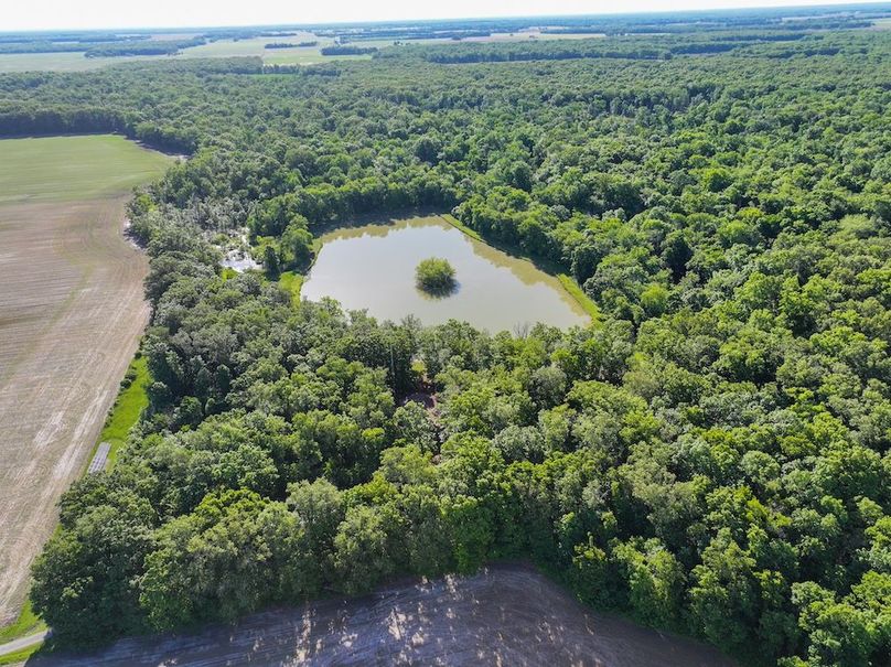 DJI_20260511081918_0061_D