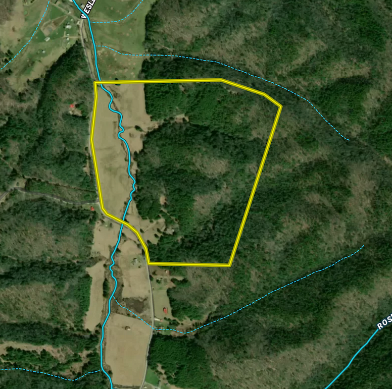 Screen Shot 2024-03-06 at 9.14.55 PM