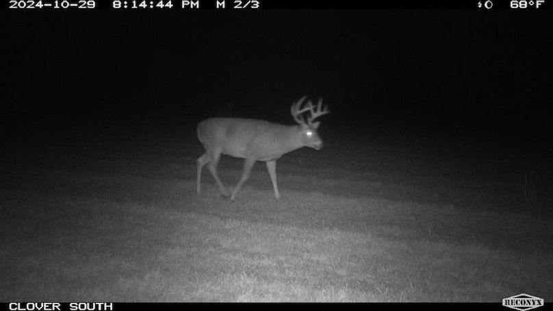 buck 1 90