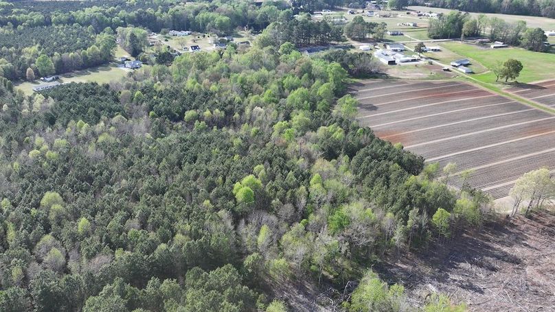 dji_fly_20260330_090752_0565_1774989423156_photo