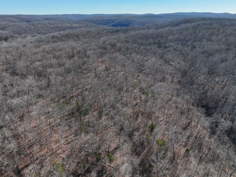 DJI_20251219114055_0895_D