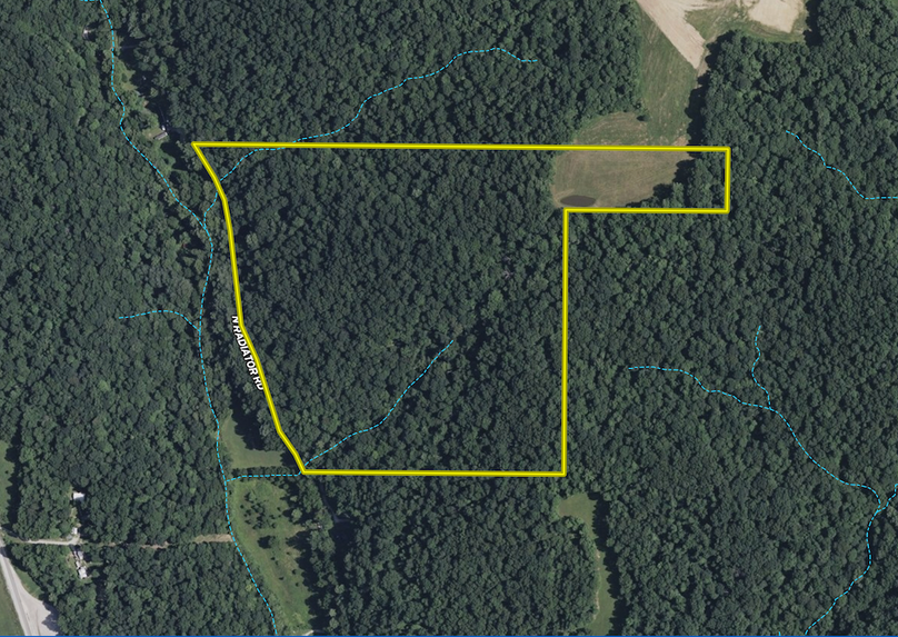 Screenshot 2026-03-09 at 3.41.50 PM