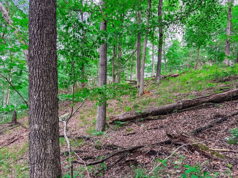 Wirt, WV 137.45 AC Full-22