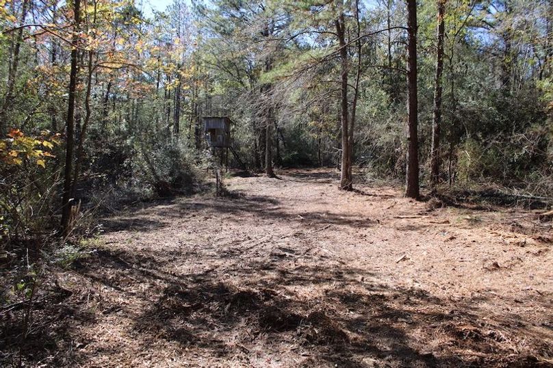 7AD5E752-AA91-4003-B1AB-53D136D6035A_1_105_c