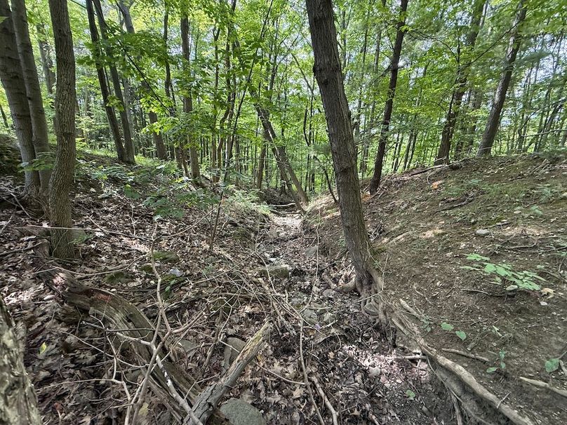 Ontario_2.7_Proseus Photo 16