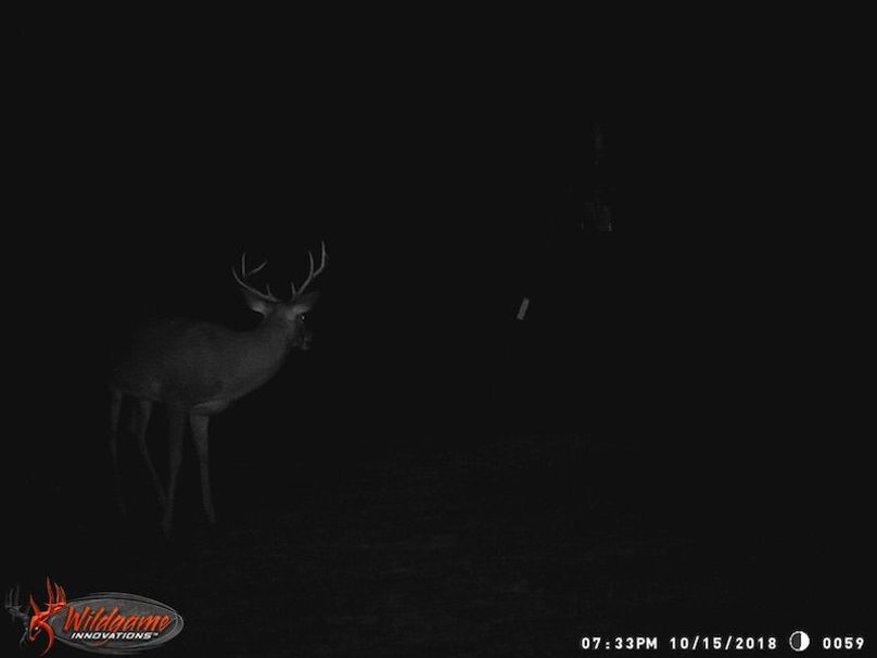 trail cam 10
