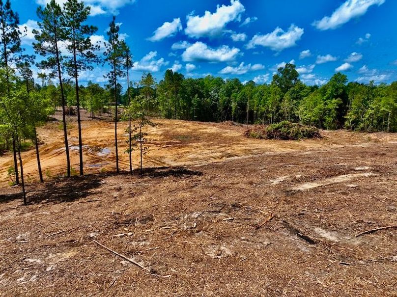 BEE23D64-A497-484E-96F9-CB074D108DD3_1_105_c