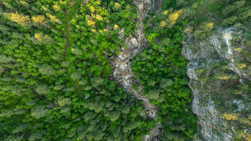 Lawrence SD 50 Featured_ProPhoto-71