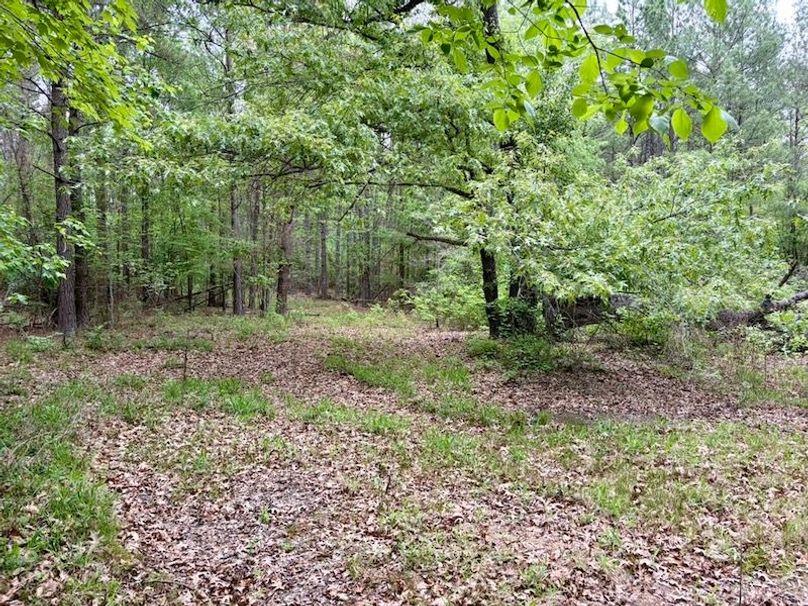 D0FF6FC3-AB49-4A53-A76A-AC6C39A1D486_1_105_c