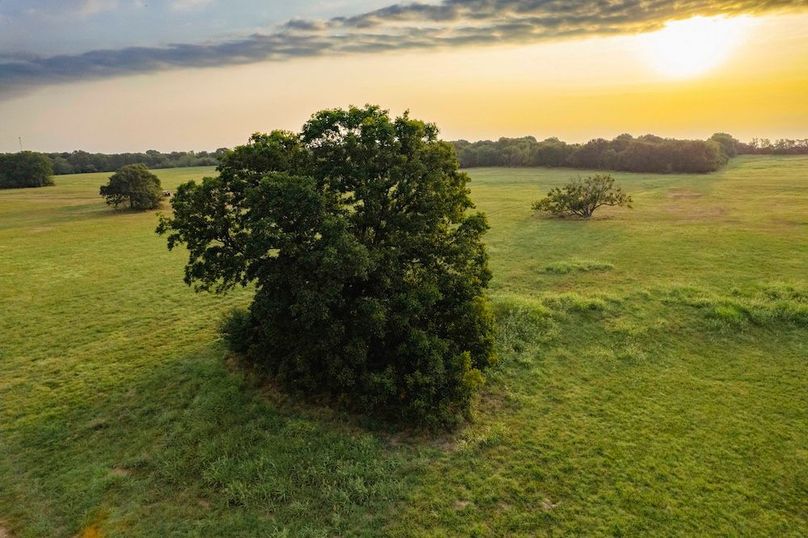 Lamar County TX 112-13