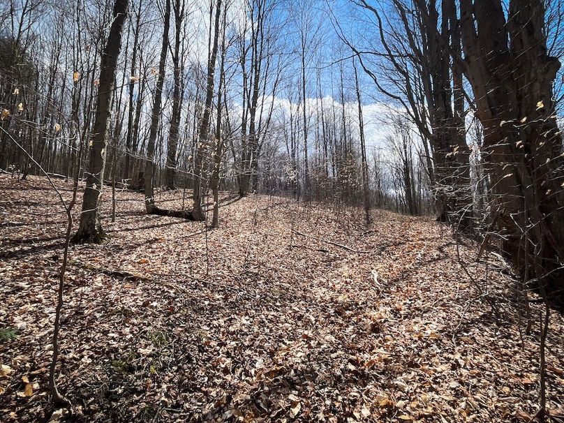 Tioga__NY_109.7_Burris_Photos_78