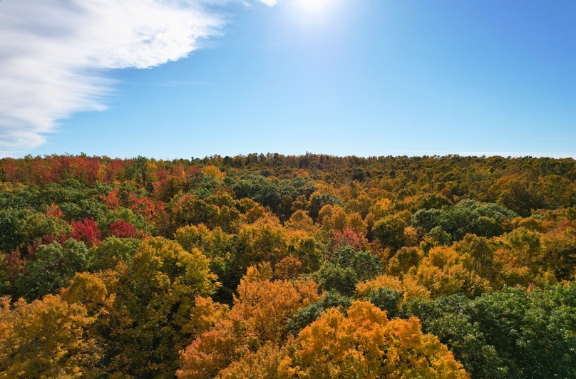 Screenshot 2025-10-29 at 11.35.04 AM