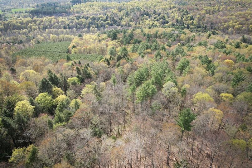 Tioga_76.65_Matyjas_Photos_43