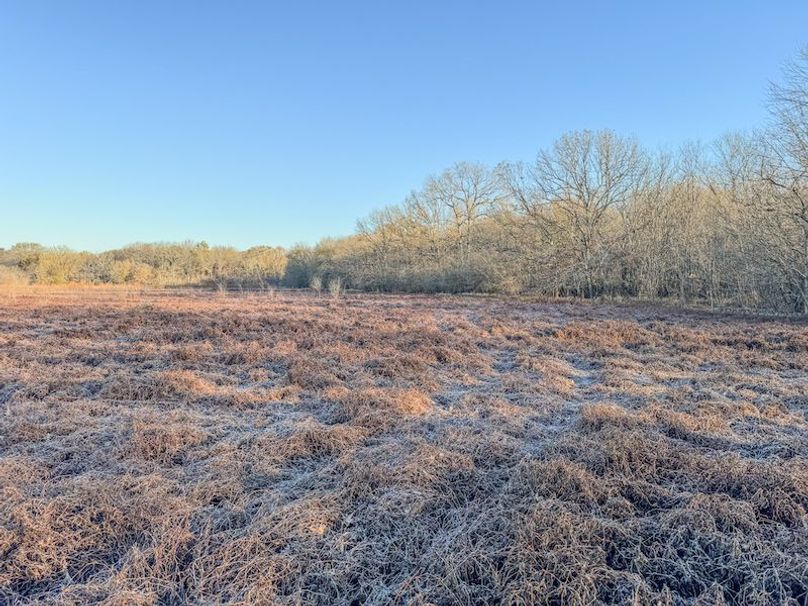 St. Francis 216.9 Calvin Parker Farms Profile -06