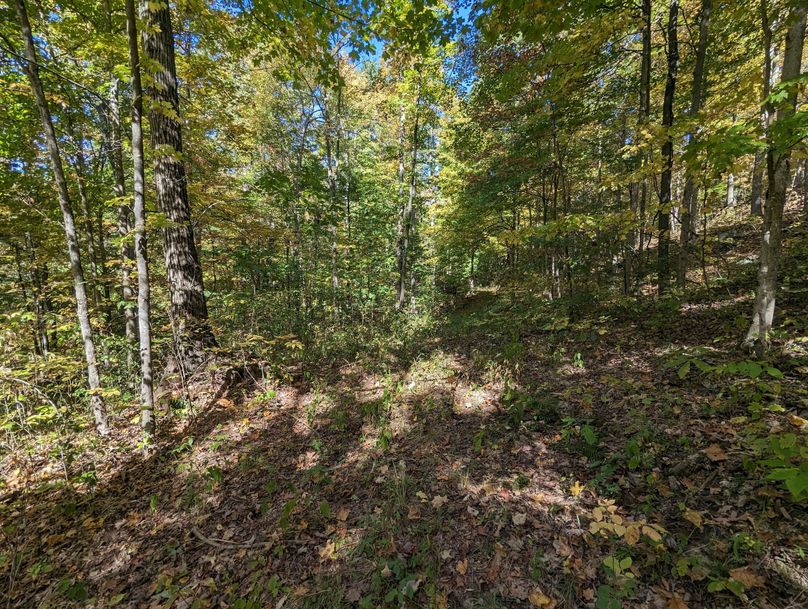 PXL_20231004_163426465