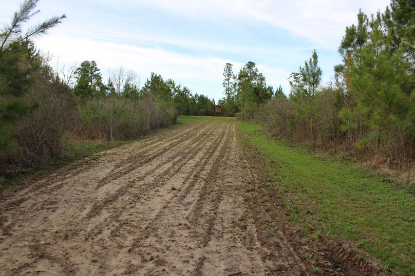 FA0E97BE-E1CA-4F24-8758-A988B1BF175F_1_105_c