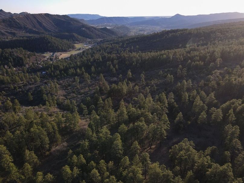DJI_0041