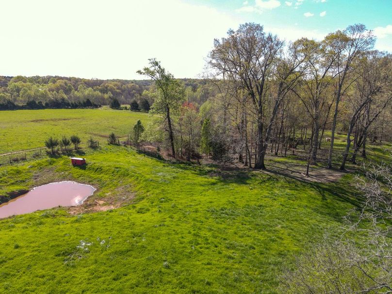 dji_fly_20240405_100348_323_1712325934260_photo