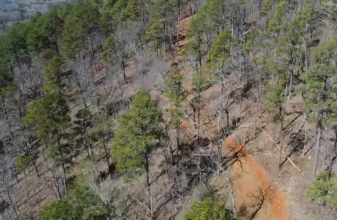 2024-02-13-12-19-20-410