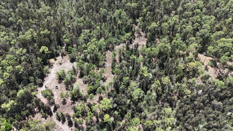 DJI_20260403130304_0476_D