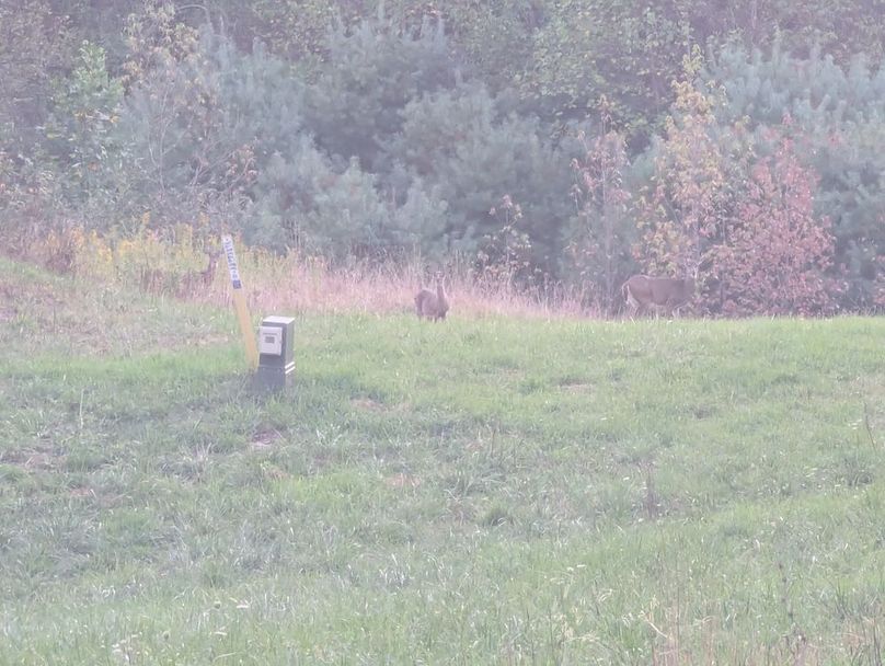 PXL_20251001_230635277