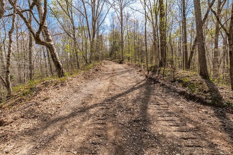 83-web-or-mls-0 Mound Creek Rd-53