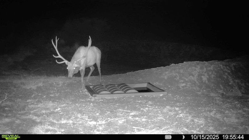 755f2ae0-442c-4cb0-ac38-f9991cb9524c