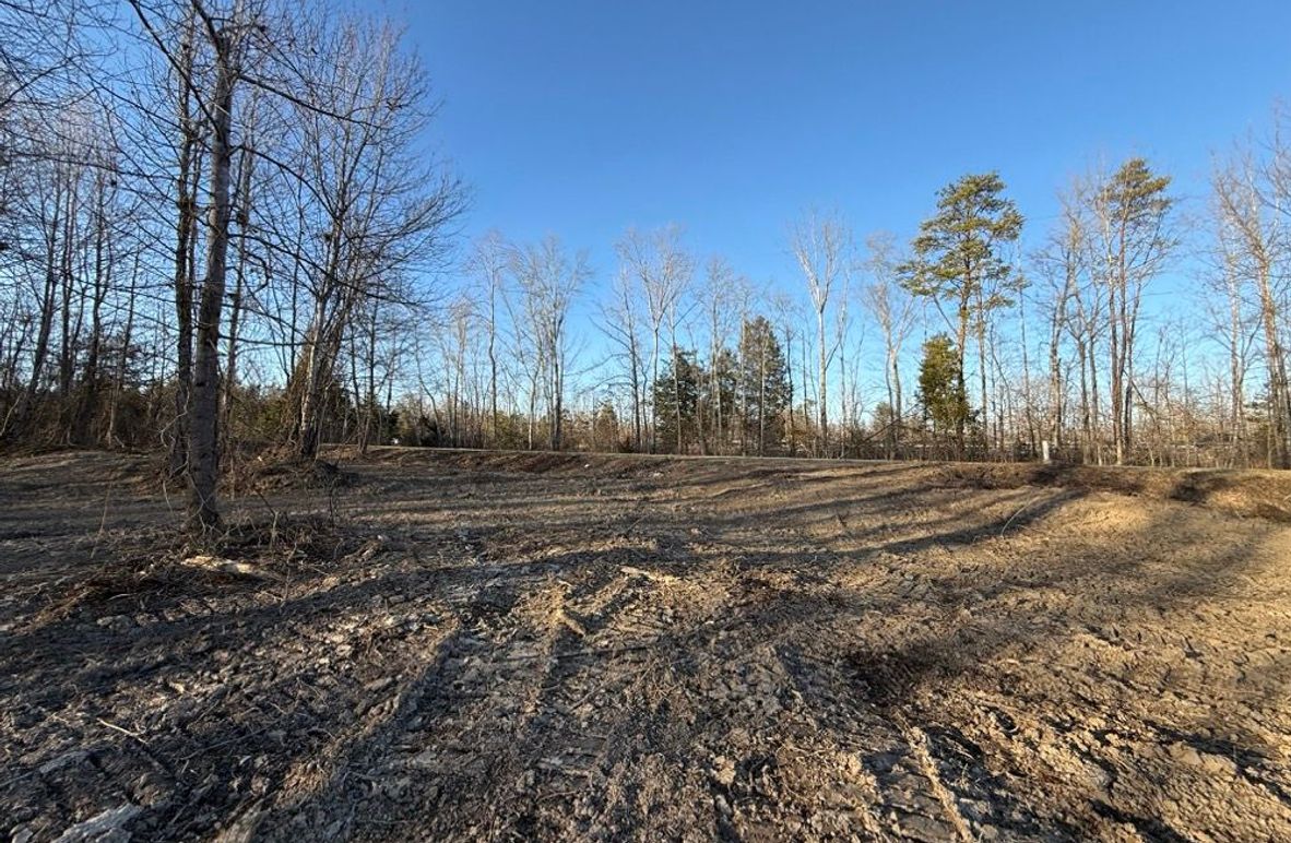 005 open clearing in the front of the property looking back towards the road