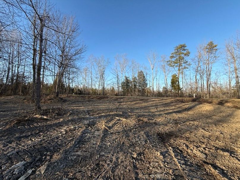 005 open clearing in the front of the property looking back towards the road