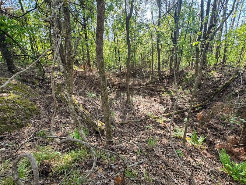 Tallahatchie 44 Newman (Crowden) Wide-15