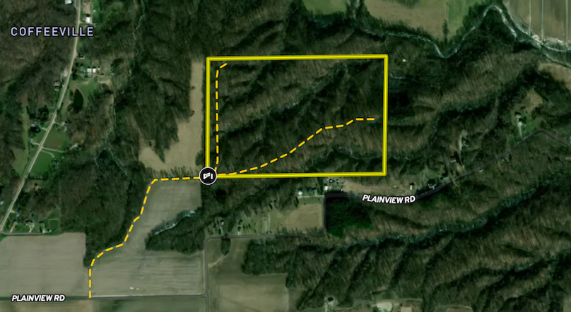 Screenshot 2025-06-09 at 12.07.04 PM